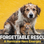Dog Kitten Rescue: Unforgettable Hurricane Hero Story